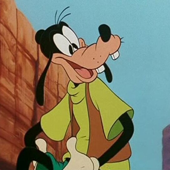 Dingo
