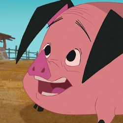 Ollie, le Porc