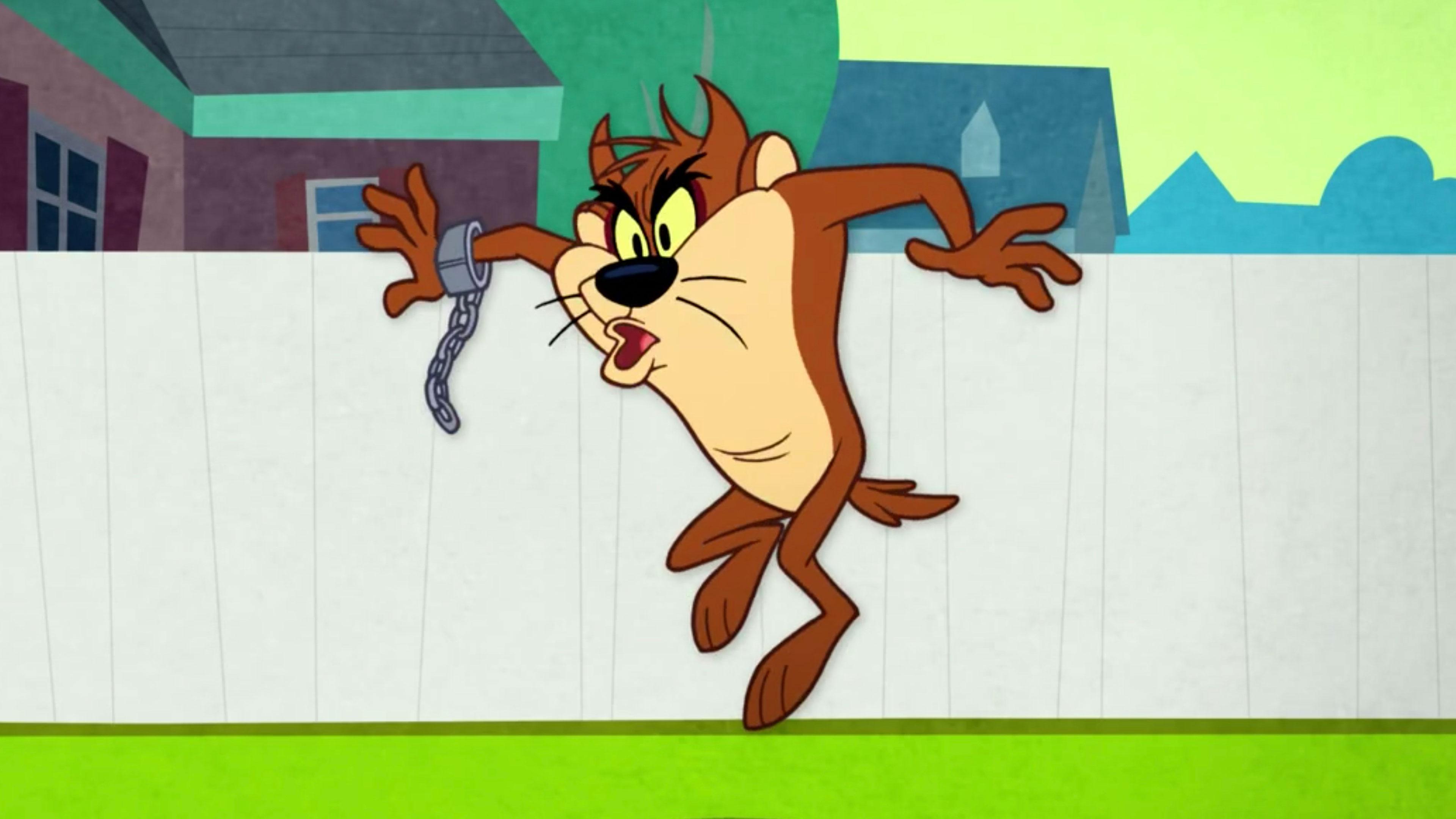 Taz