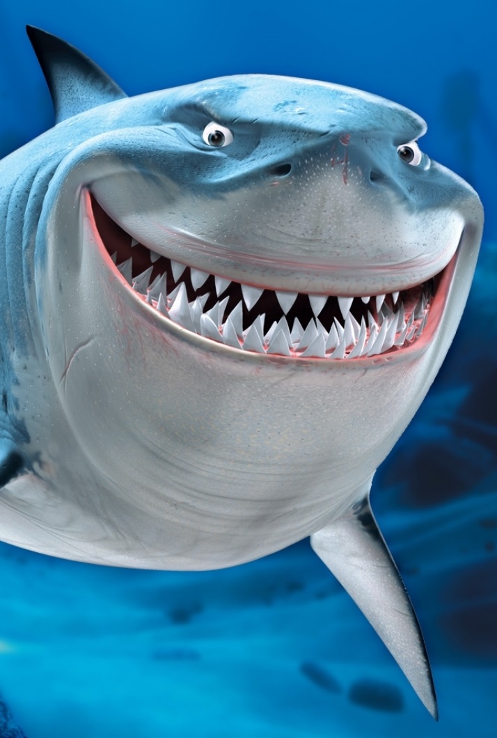 Bruce