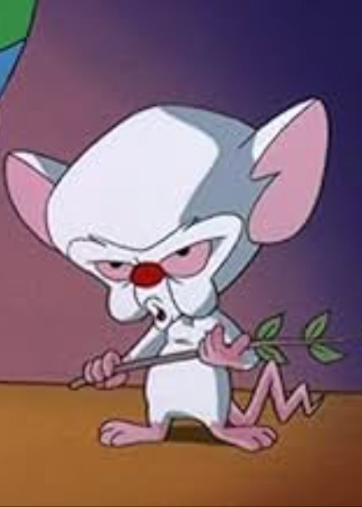 Cortex